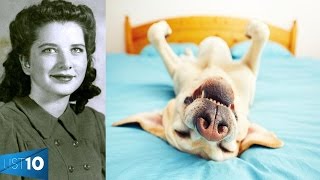 10 STRANGEST Things Left In Peoples Wills | LIST KING