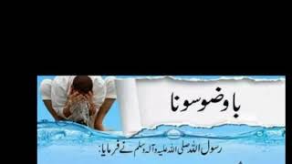 Ba Wuzo Sona Ameer Umer Qaisrani