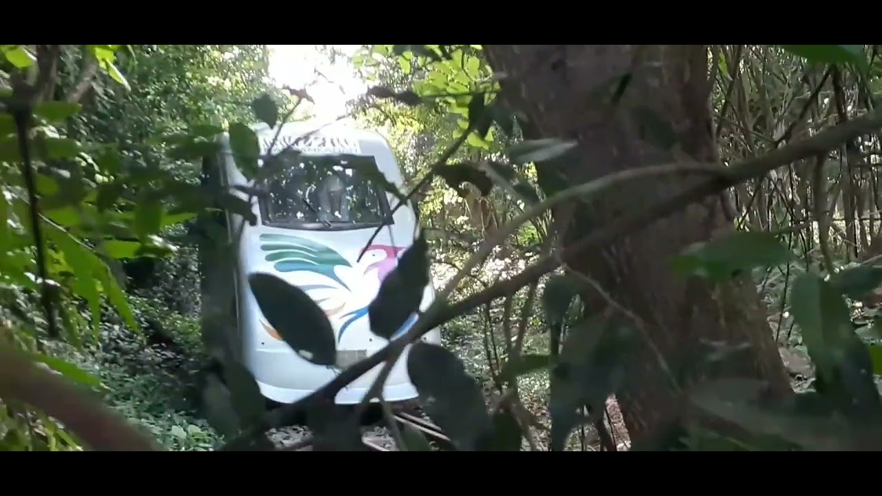 Toy train 🚆 Nandankanan YouTube