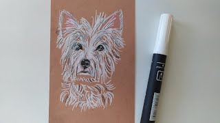 How to Draw a Westie Dog (West Highland White Terrier) 