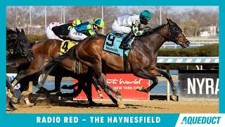 Radio Red - 2026 - The Haynesfield