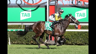ADELAIDE CUP DAY SPECIAL 2022 !  (14/03/22) MONDAY RACING PREVIEW