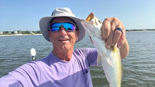 Weekend Summer Specks!