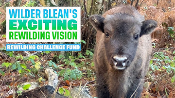A bright future for Wilder Blean | Rewilding Network