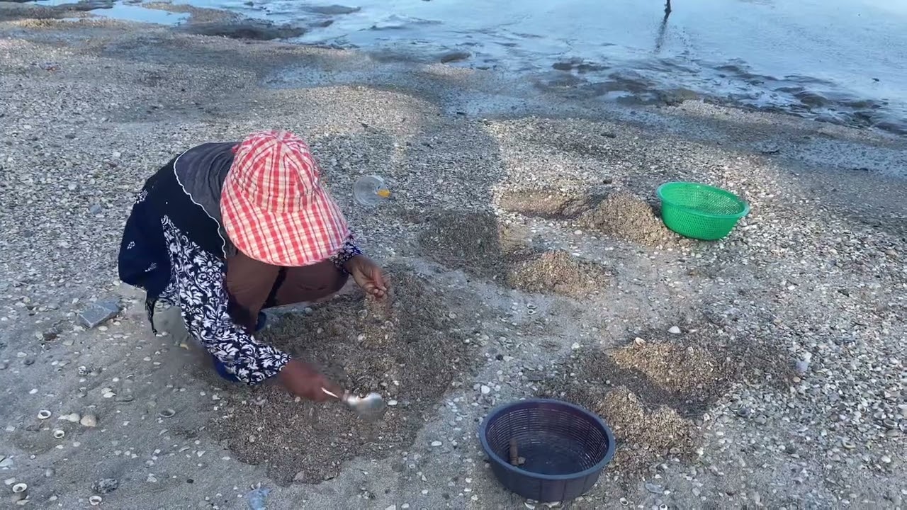 Pengalaman mencari remis,di pantai Remis Jeram Selangor.