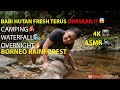 Borneo Camping 2D1N bbq babi hutan🐗(PART 2).4K video//ASMR