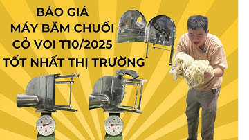 Báo giá máy băm chuối, máy băm cỏ voi tốt nhất thị trường năm 2025