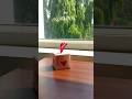 DIY Gift Box #shortsfeed #shorts #shortsvideo #shortsviral #shortvideo #ytshorts #diy #art #short