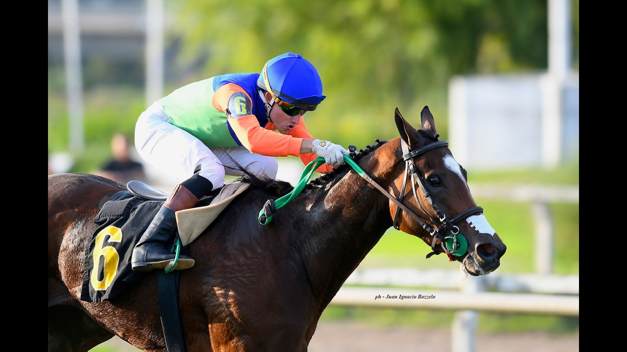 Handicap Juan Carlos Noriega 2026 - Herd Immunity (Forge)