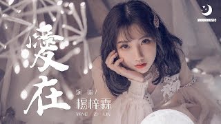 楊梓霖 - 愛在『我闭上眼睛 全都是你』【動態歌詞Lyrics】