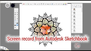 Screen record from Autodesk Sketchbook