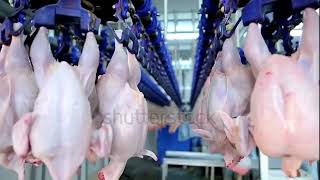 Kdm Global Food And Beverage Under Food Processing Industries In India For Global Export