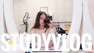 КАК Я ГОТОВЛЮСЬ К ЕГЭ 2020 | STUDY VLOG