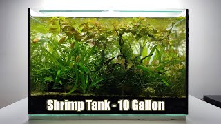 # 1  Setting up 10 Gallon SHRIMP TANK -No CO2, No Filter by Bije Aquatics 19,264 views 3 years ago 3 minutes, 10 seconds
