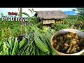 A peaceful life in the countryside  harvesting and cooking vegetables  biag ti away by balong