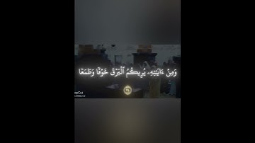 قران الشيخ ياسر الدوسري سورة (الروم)
