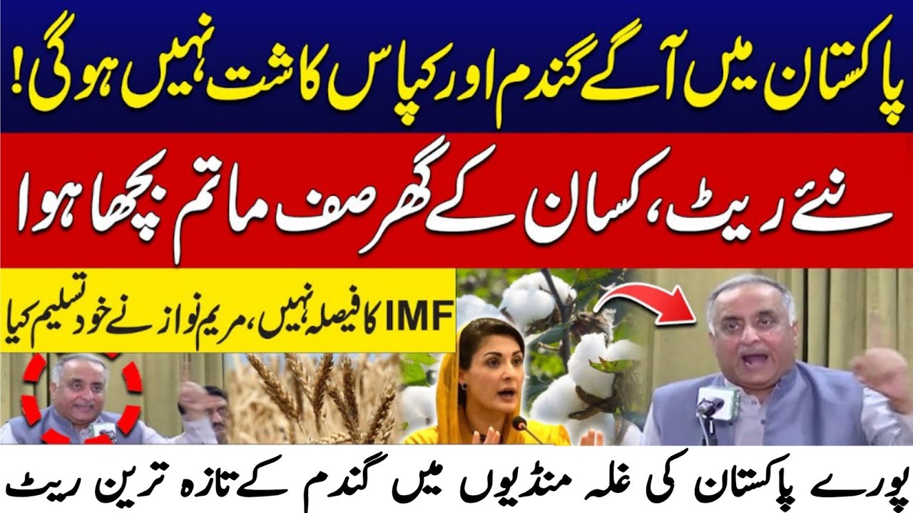 Today wheat price punjab/ 2025 گندم کا ریٹ| Makki munji ka rate today ...