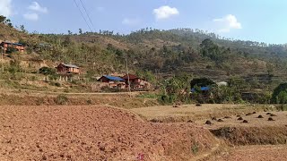 Simple Nepali Rural Village in Mountain || Life with Beautiful Nature || Chingad