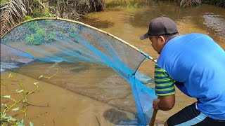 cara unik menangkap ikan dengan sarokan