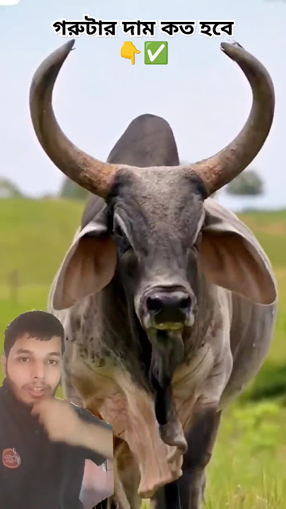 guru tiktok guru tiktok 🔥✅. #guru #tiktok #shorts #trending