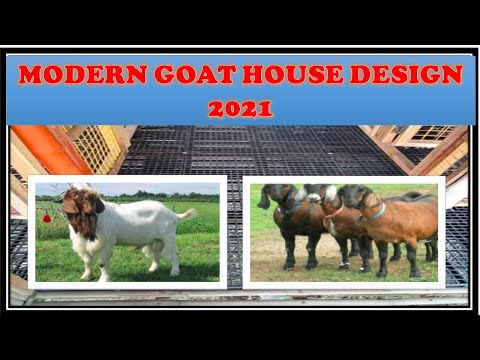 modern-goat-house-design-2019-in-the-philippines