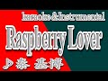 Raspberry Lover/秦 基博/カラオケ&instrumental/歌詞/RASPBERRY LOVER/Motohiro Hata