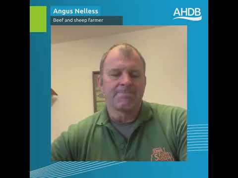 Angus Nelless - Shape the Future of AHDB