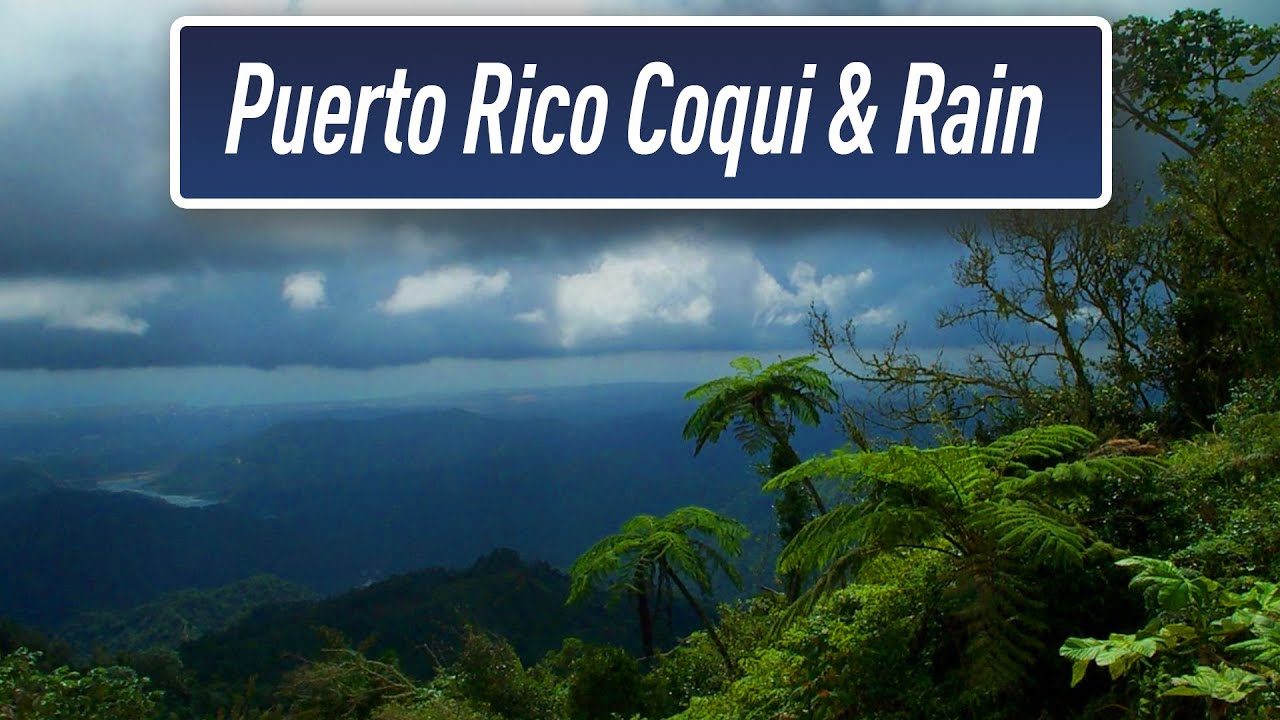 Rain & Coqui Sounds | Puerto Rico Rain Forest | Sleep Therapy | Help with #Insomnia Rain & Coqui Sounds | Puerto Rico Rain Forest | Sleep Therapy | Help with #Insomnia