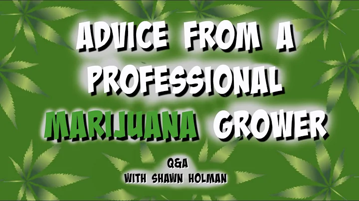Advice from a Professional Marijuana Grower Q&A Sh...