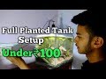 Full Planted tank setup under ₹100