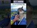 wolfhound.#funny #foryou #funnyvideo #fyp #funnytiktok #Interesting #videos #wolfhound