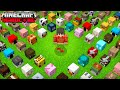 Jai rcupr toutes les ttes de mobs sur minecraft hardcore