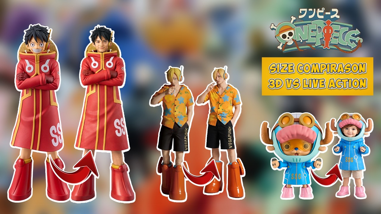 Onepiece Team 2026 Character Size Comparison in Real Life | 3D Vs LiveAction