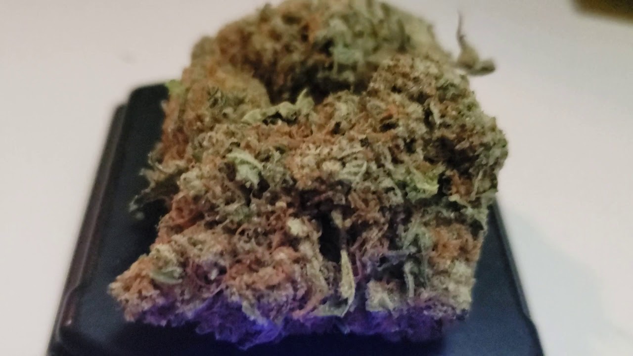 Lowpricebud mail order marijuana unboxing