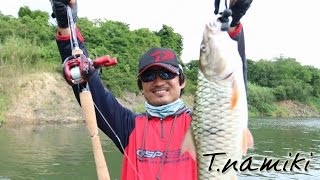 Namiki pro in Thailand : Hampala fishing at Keang Krajan