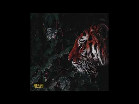 Mesani - Flame (Official Audio)