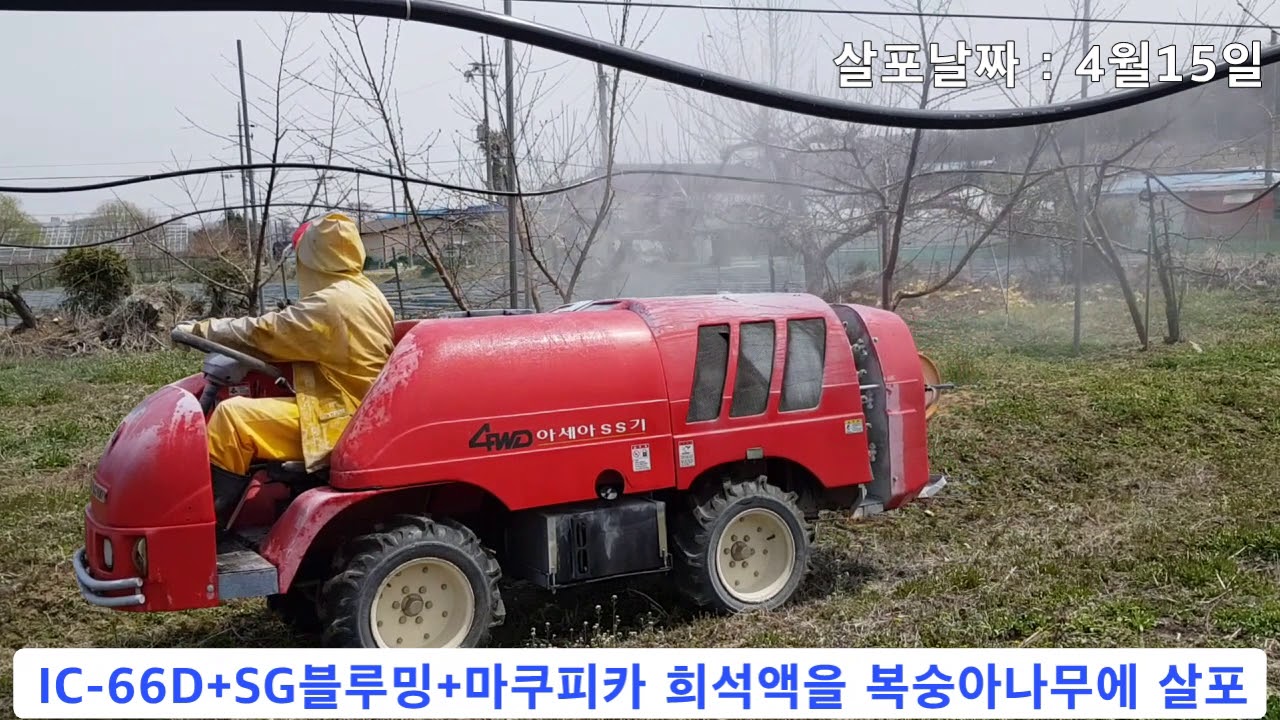 복숭아 개화전 보르도액 살포(복숭아세균구멍병 예방-IC-66D)