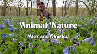Animal Nature - Short Puppet Film with Masks by Alex and Olmsted 595 views 2 years ago 1 minute, 55 seconds