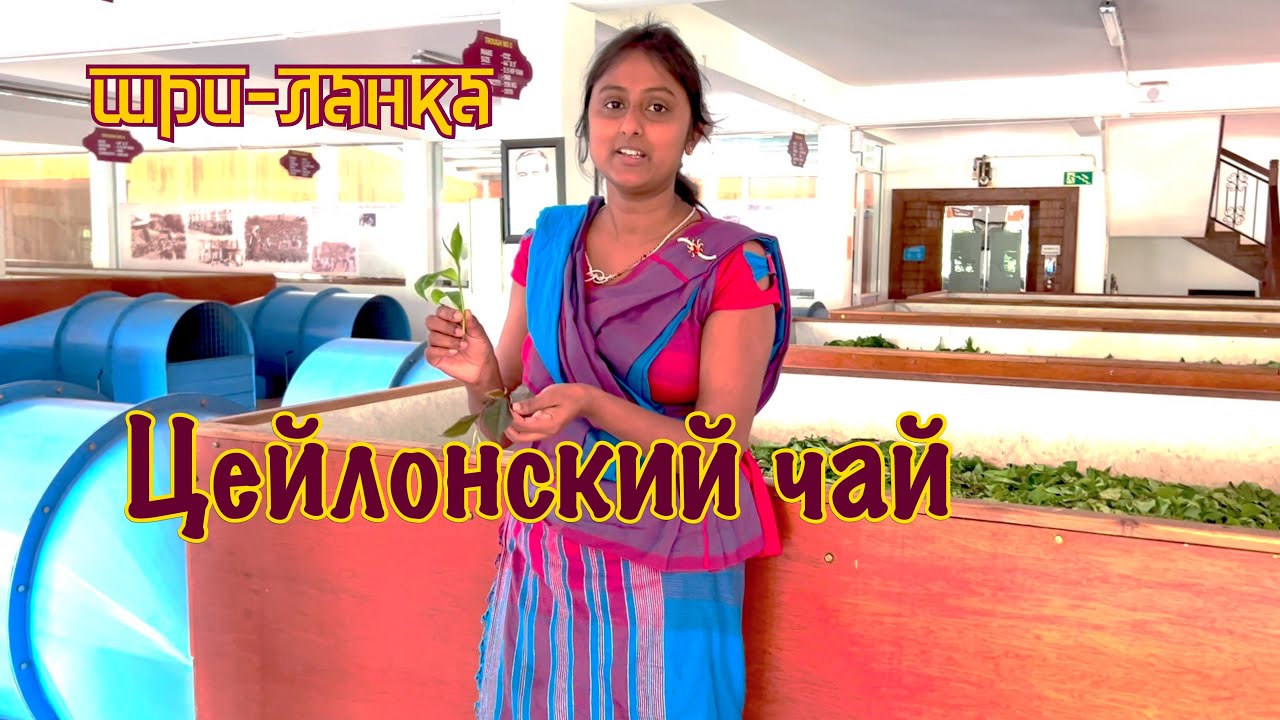 Цейлонский чай