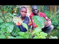 Msaniichipukizi Ft Shado254 Wacha Nicheze Official Video Comedy Funny Colonelkkjϟ Msaniichipukizi Ft Shado254 Wacha Nicheze Official Video Comedy Funny Colonelkkjϟ
