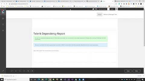 DNN Telerik Identifier Overview