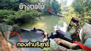 หมายไม้เยอะๆต้องป๊อปเปอร์เท่านั้นEP42เจอนักขุดทอง#fishing #ตกกระสูบ #ธรรมชาติ