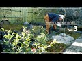 【Project.25 - Final】Making a Japanese garden in Nikko. 日光で日本庭園を造る。