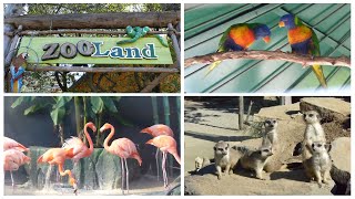 Mini Zoo Land (Slovenske Konjice) Mini Zoo Land (Slovenske Konjice)