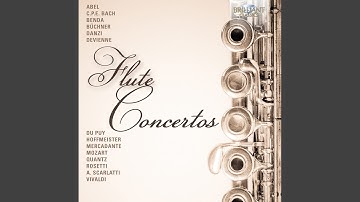 Flute Concerto in D Minor, QV5:81: I. Allegro e con spirit