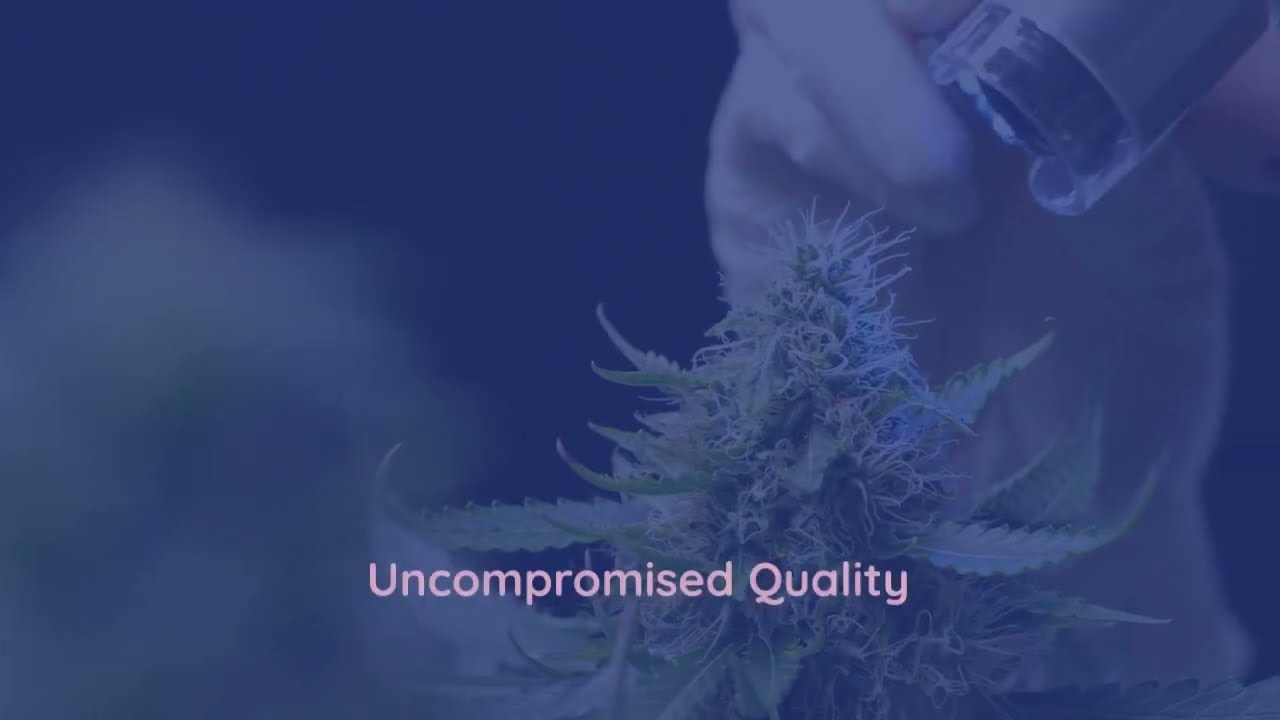 Discover a World of Relaxation: Best Delta 8 Products in Appleton | The Dispo