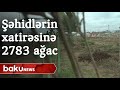 Şəhidlərin xatirəsinə 2783 ədəd ağac əkilib