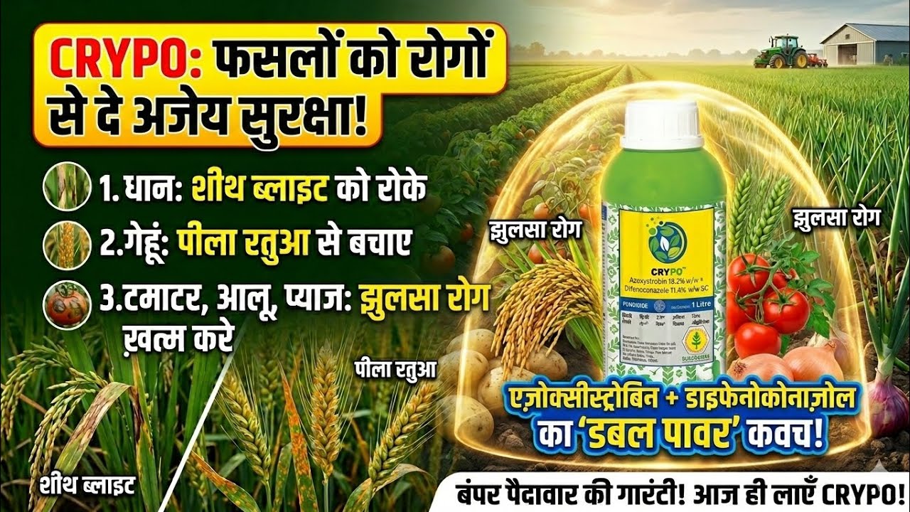 CRYPO Fungicide Uses & Details | धान, गेहूं और सब्जियों के रोगों का पक्का इलाज! 🌾