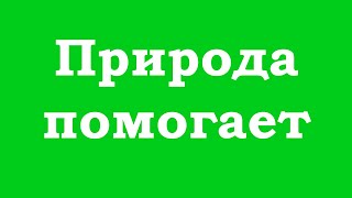 картинка: Чем помогает природа