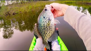 Beautiful Iowa Crappies Fishing The Crappie Spawn Pt 2